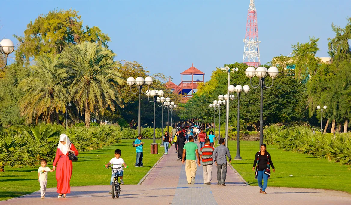 Things to Know Before Visiting