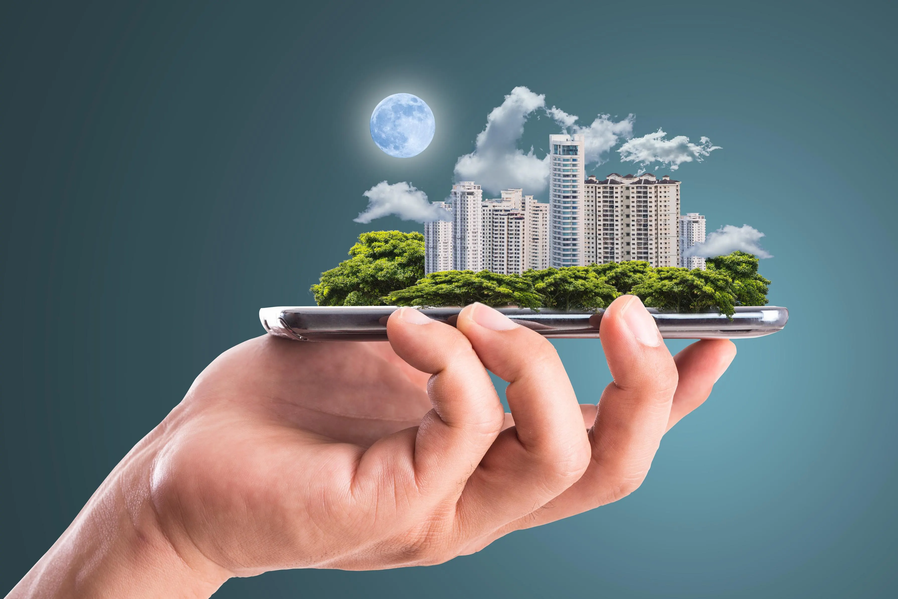 Sustainability and Innovation