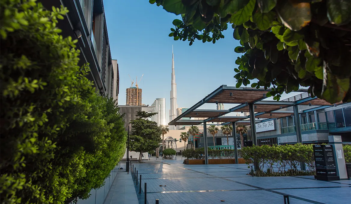 Commitment to Sustainability and Green Living