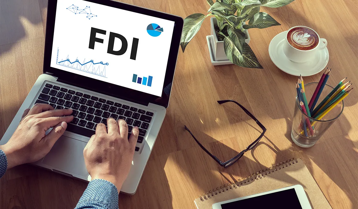 The Role of Foreign Direct Investment (FDI)