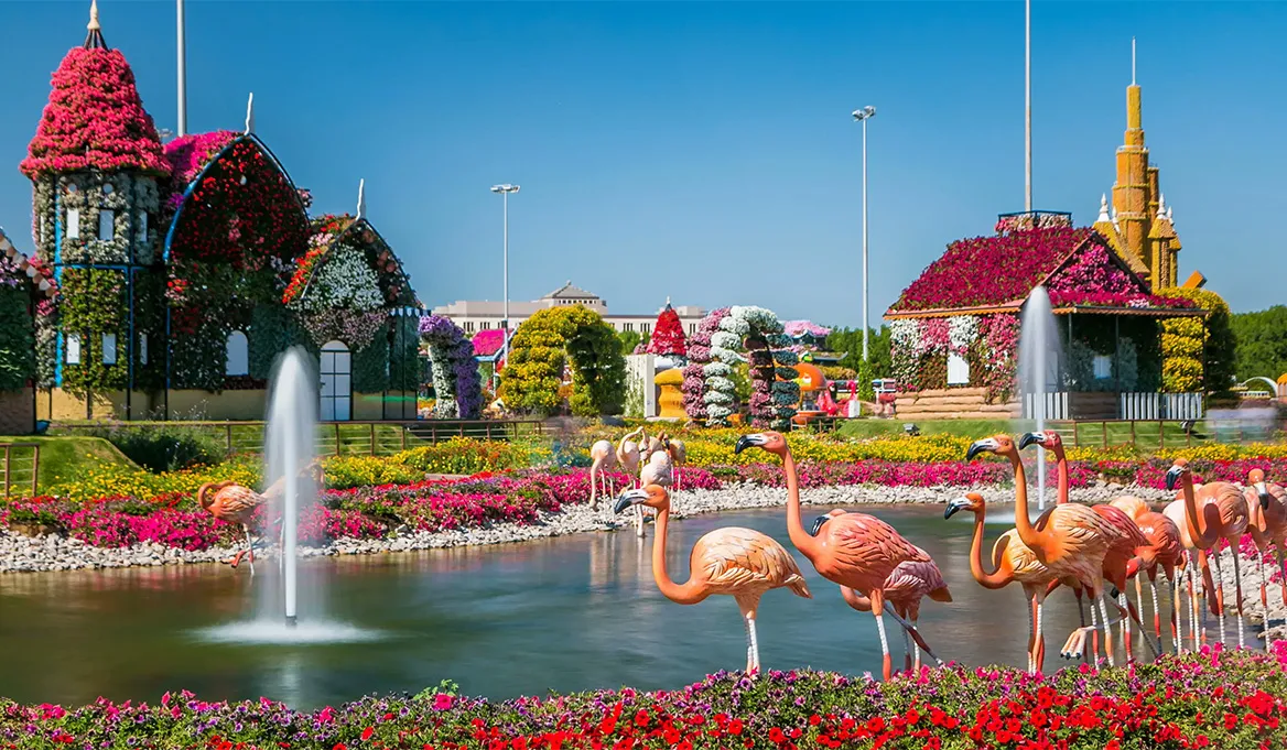 Miracle Garden Photos